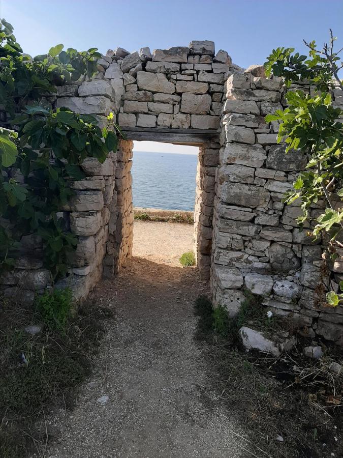 Bed and Breakfast Agora Bisceglie Zewnętrze zdjęcie