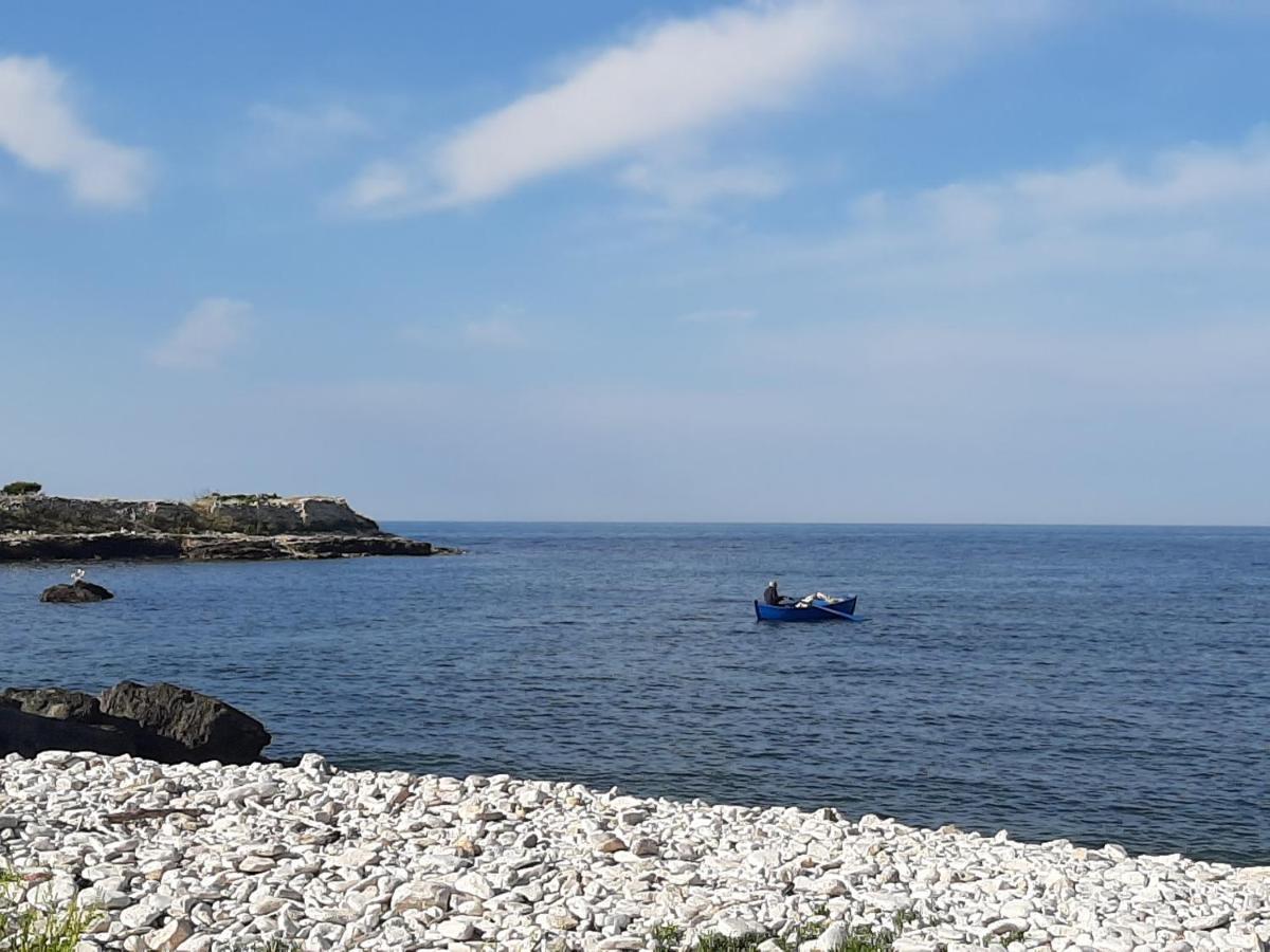Bed and Breakfast Agora Bisceglie Zewnętrze zdjęcie