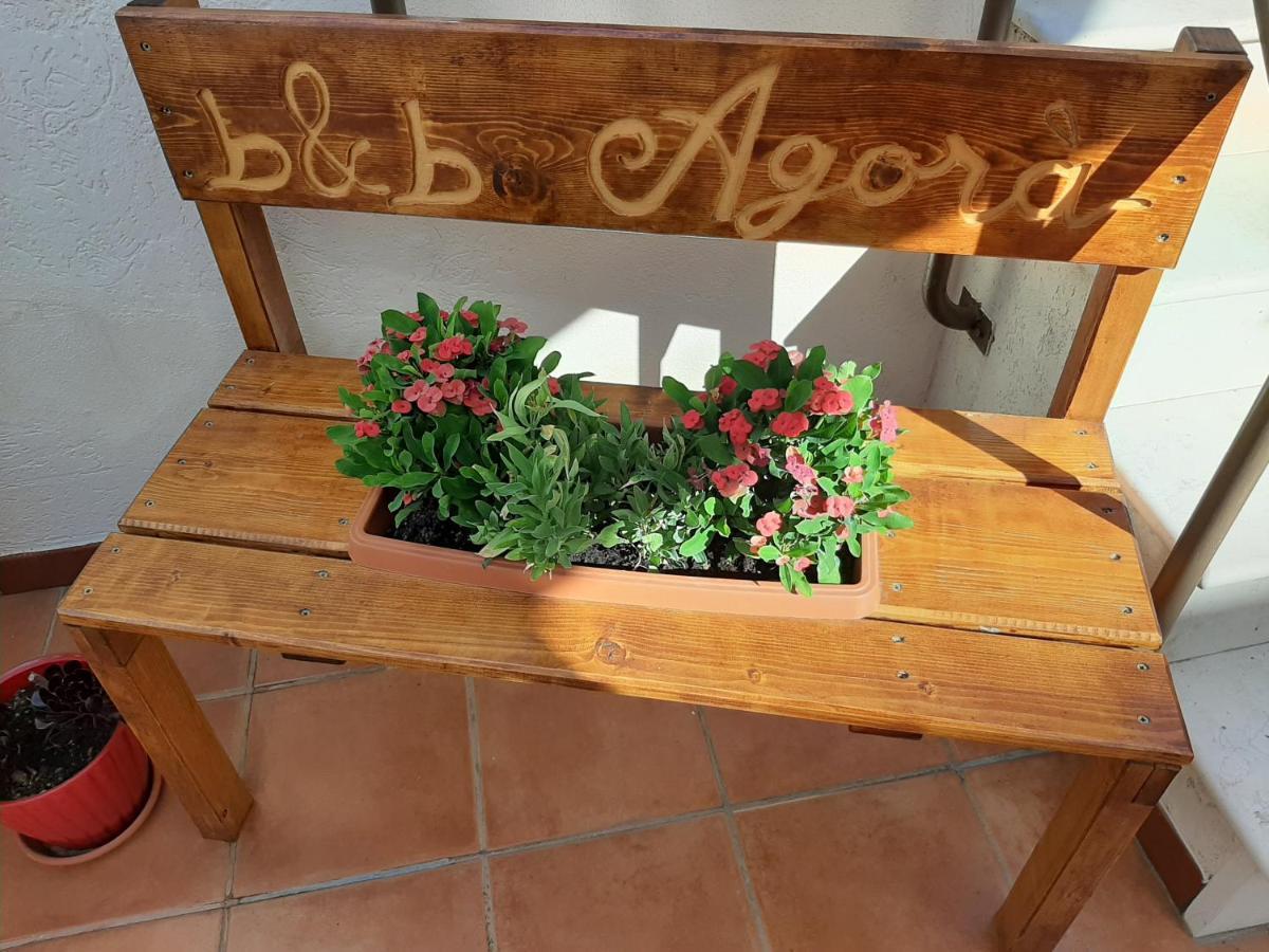 Bed and Breakfast Agora Bisceglie Zewnętrze zdjęcie