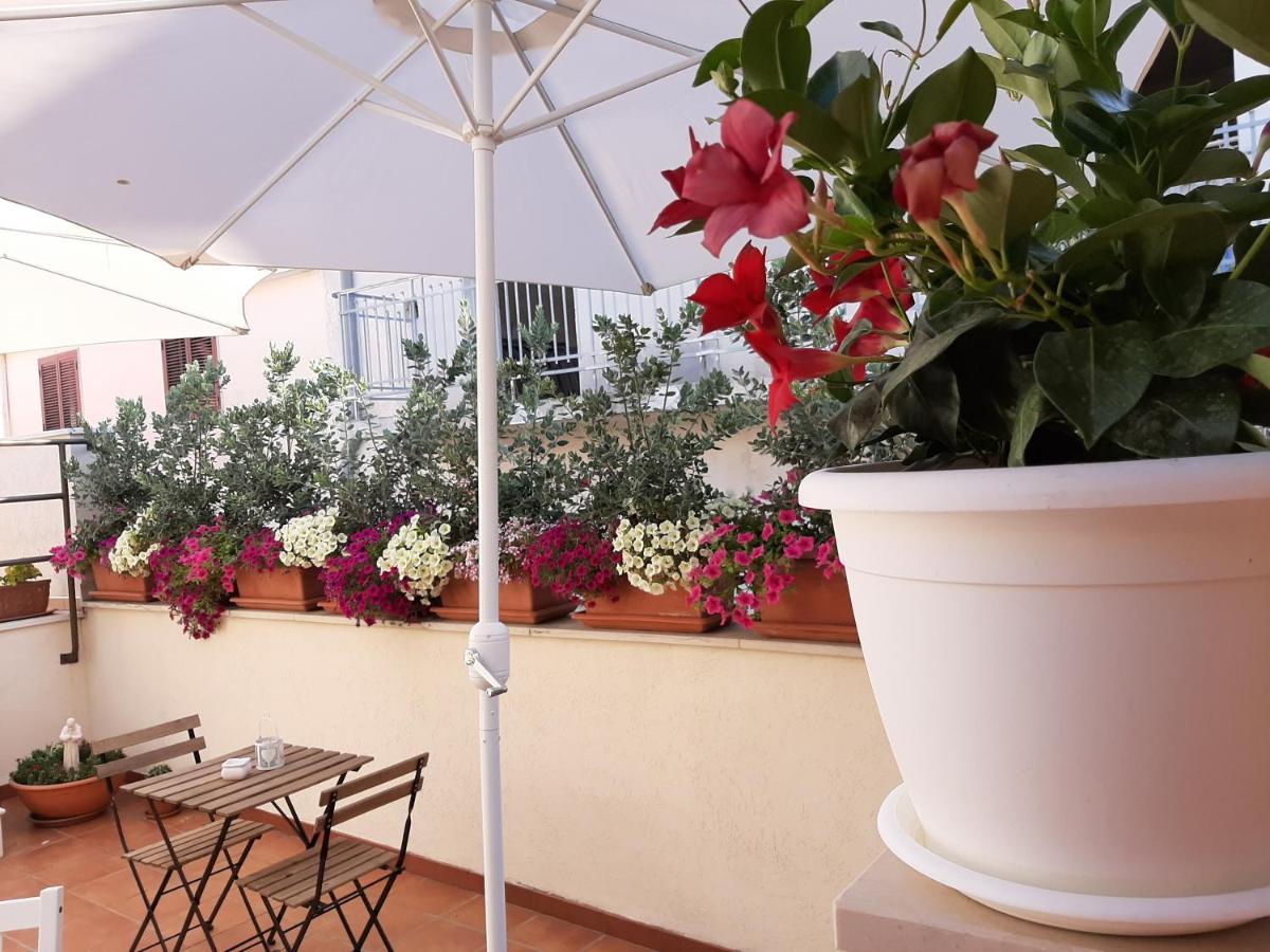 Bed and Breakfast Agora Bisceglie Zewnętrze zdjęcie